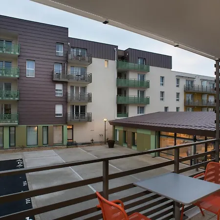 Domitys Rosa Gallica-3